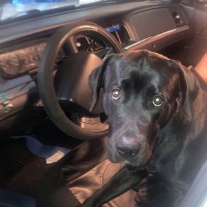 Meet your Posher, Manuel